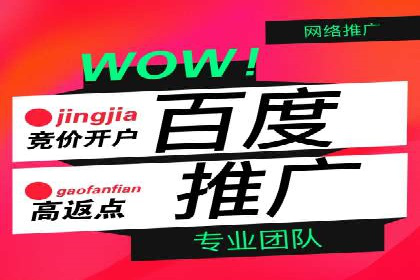充值返点案例分析：实战操作技巧分享